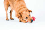 Laboni Hundespielzeug Schleuderball - Kult Spielzeug für Hunde