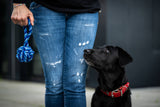 Laboni Hundespielzeug Schleuderball - Kult Spielzeug für Hunde