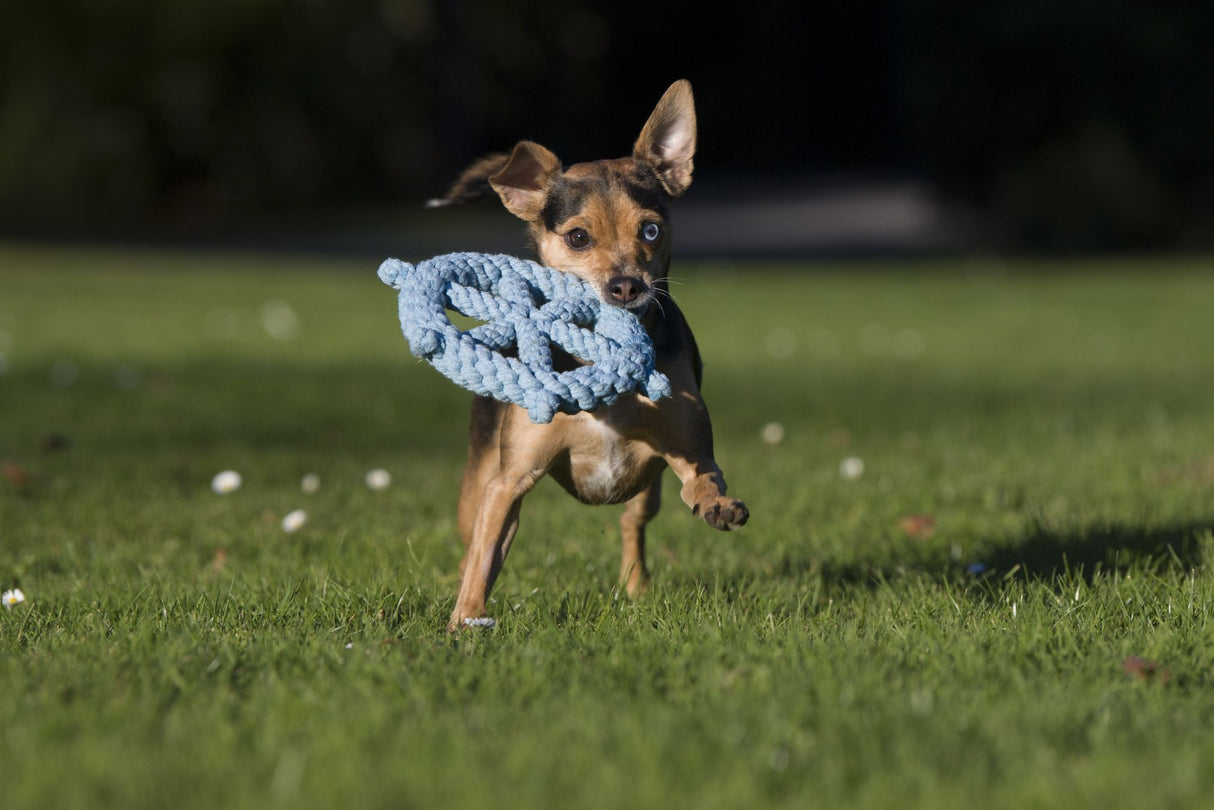 Laboni Körbchenspray + Hundespielzeug Monsieur-Spielzeug-Set für Hunde