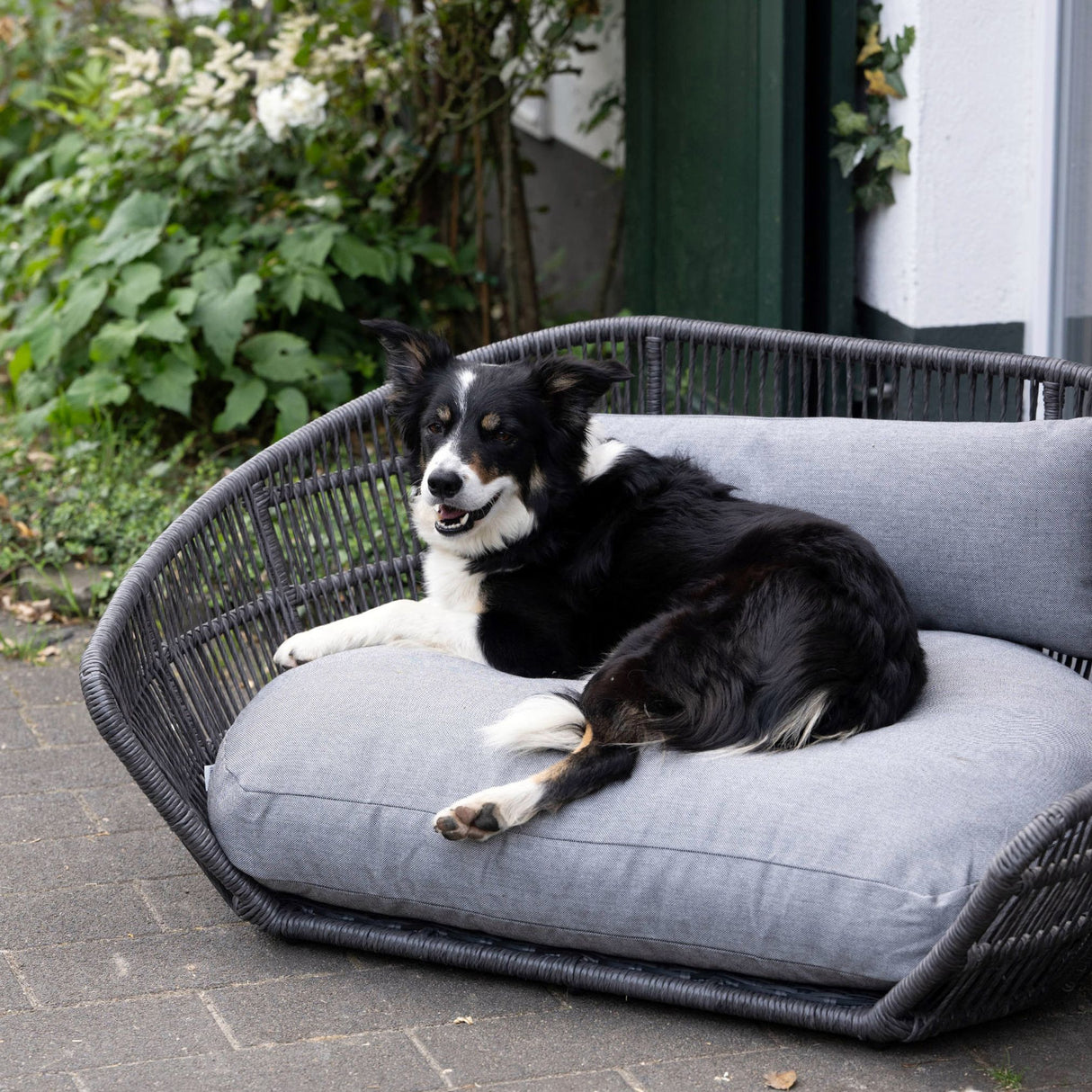 PRADO Design-Hundebett SMOOTH