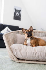 VOGUE Design-Hundebett SMOOTH