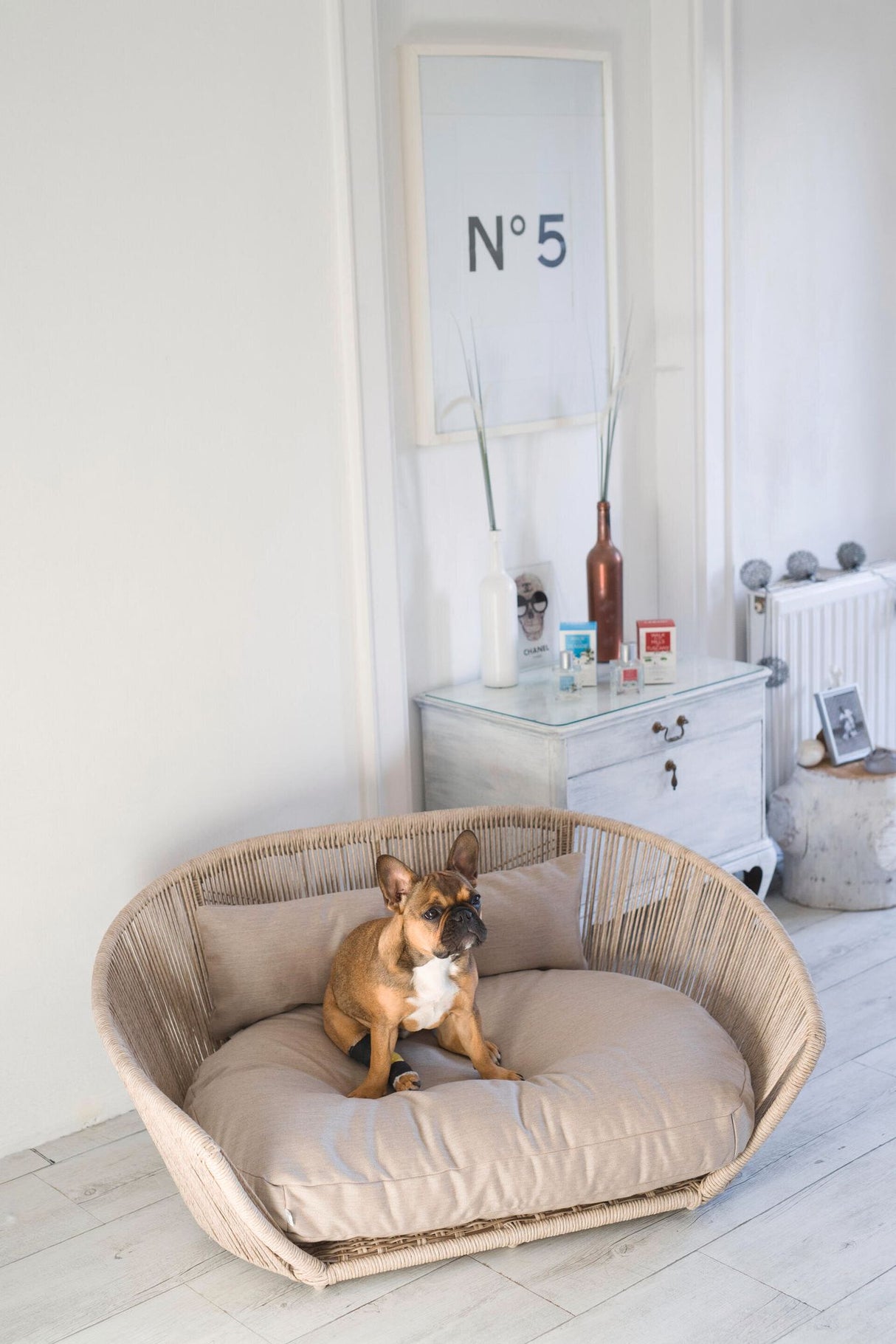 VOGUE Design-Hundebett SMOOTH