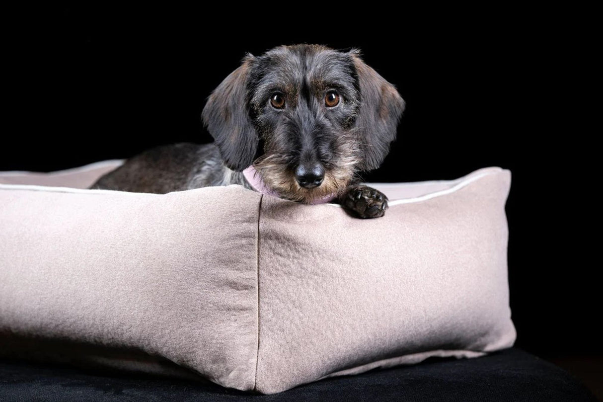 ORTHO Hundebett BUFFALO