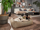 ORTHO Hundebett SCALA